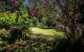 Tranquil Rainforest Studio Kuranda